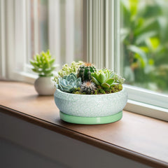 EPFamily succulent pot with bright green-white glaze on a desk