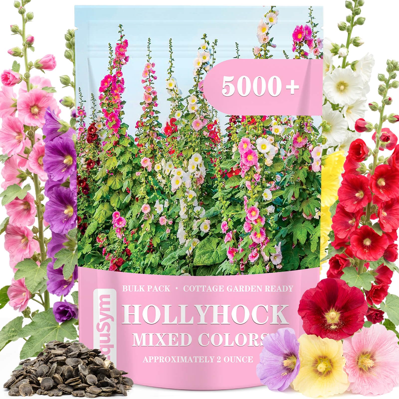 EquSym 5000+ Hollyhock Seeds Bulk Pack with mixed colour seeds