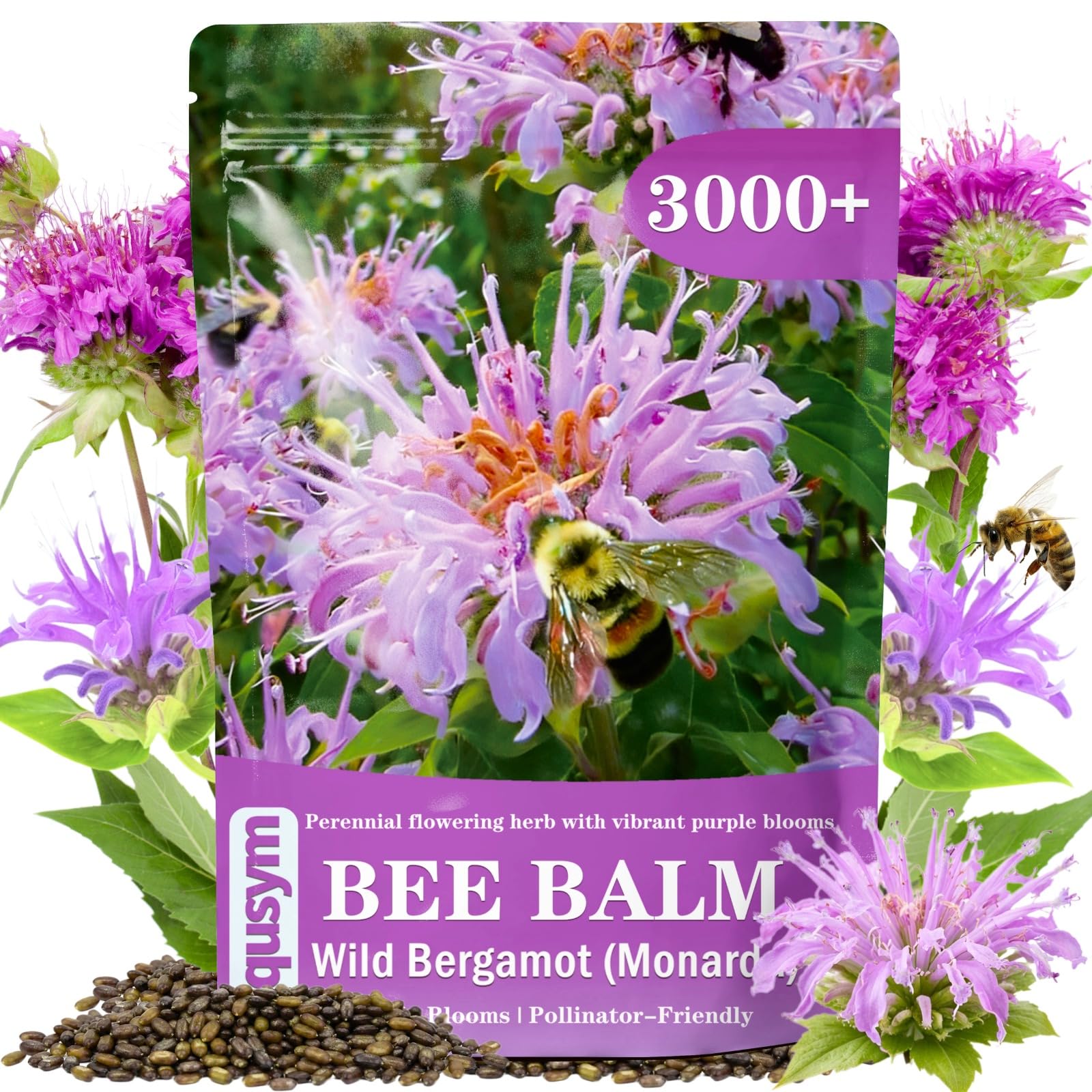 EquSym Bee Balm Seeds 3000+ pack front view