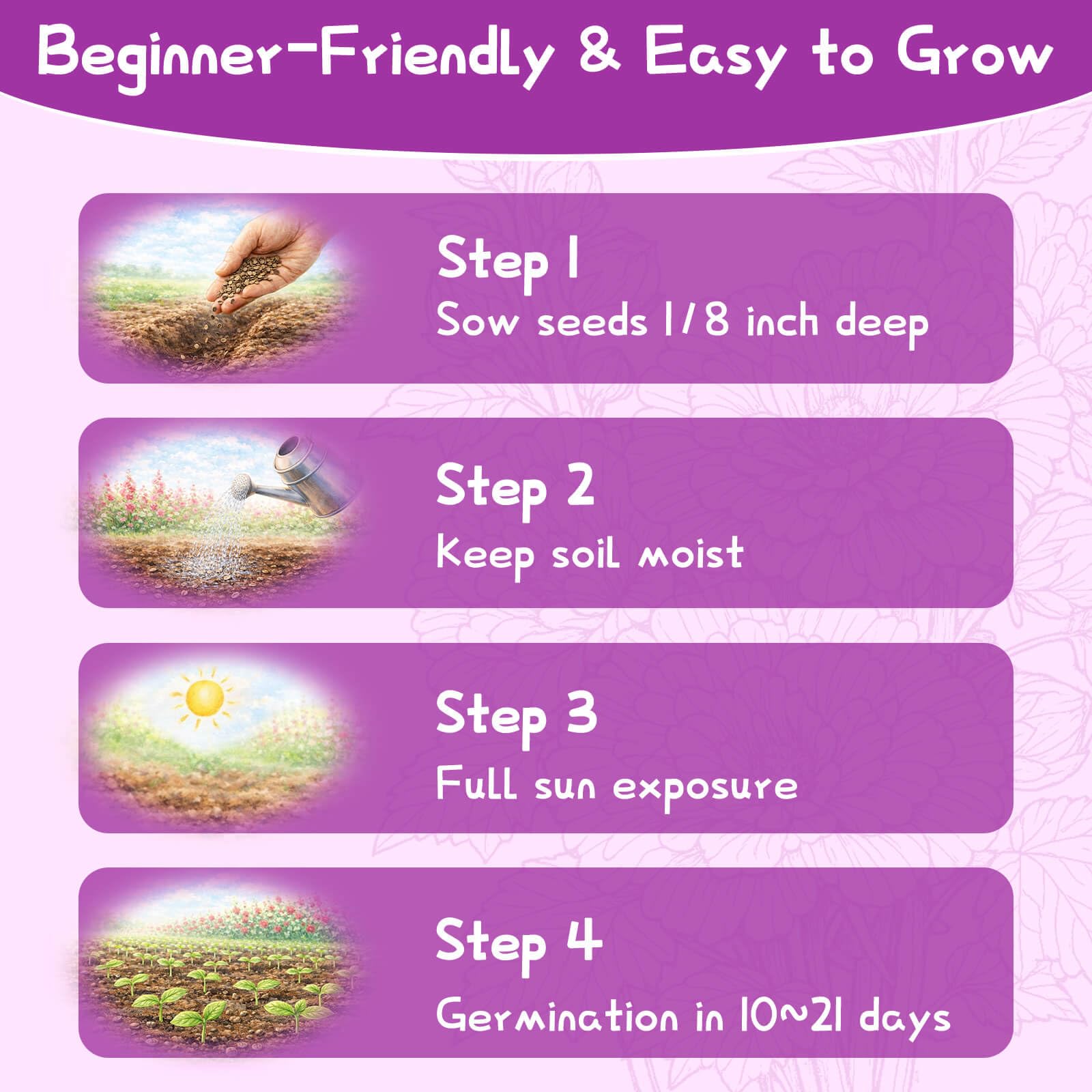 EquSym Double Hollyhock seeds pack with dimensions displayed
