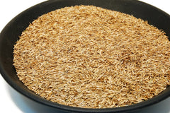 Eretz Kentucky 31 Tall Fescue Grass Seed close-up of seeds