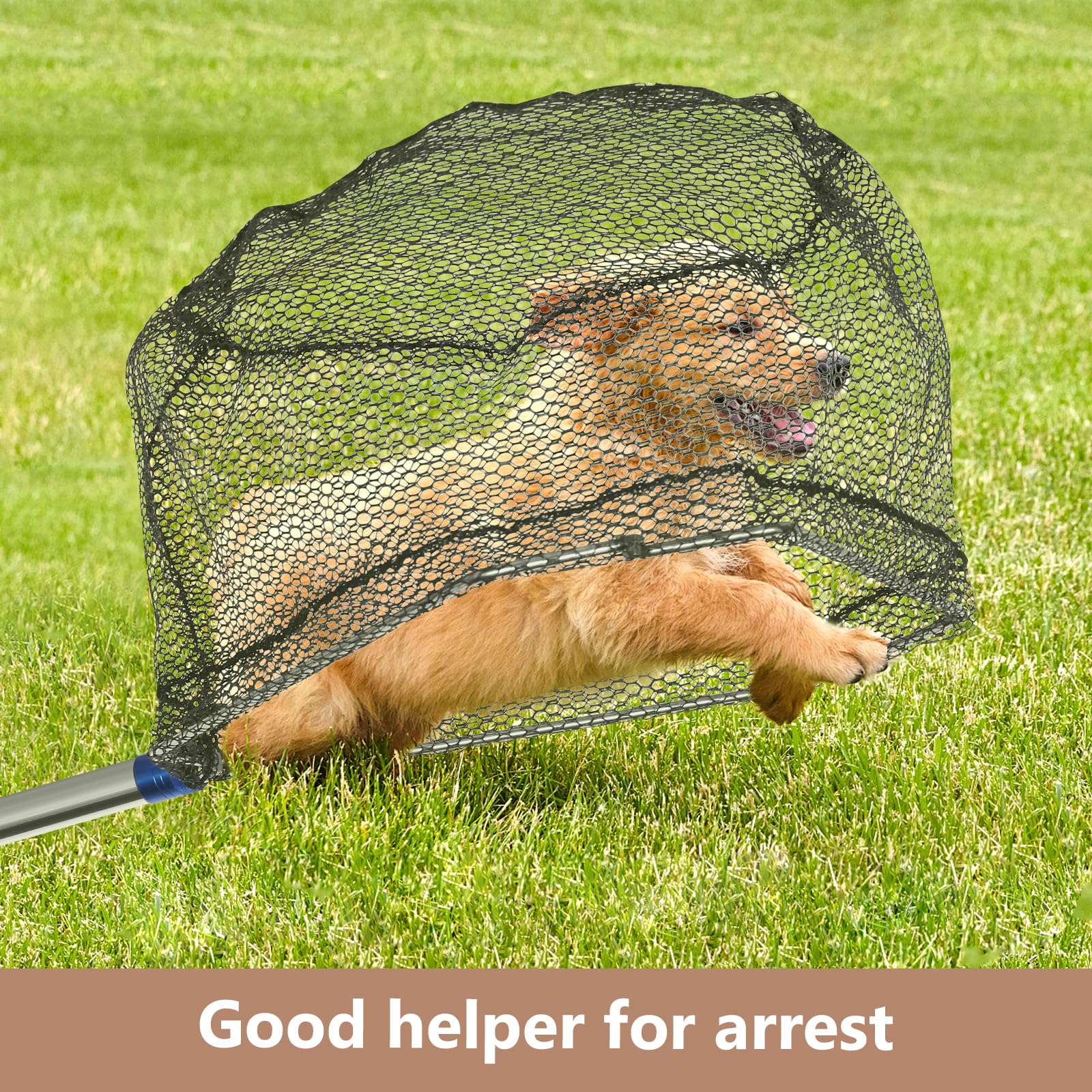 Ergonomic grip of the chicken catching net