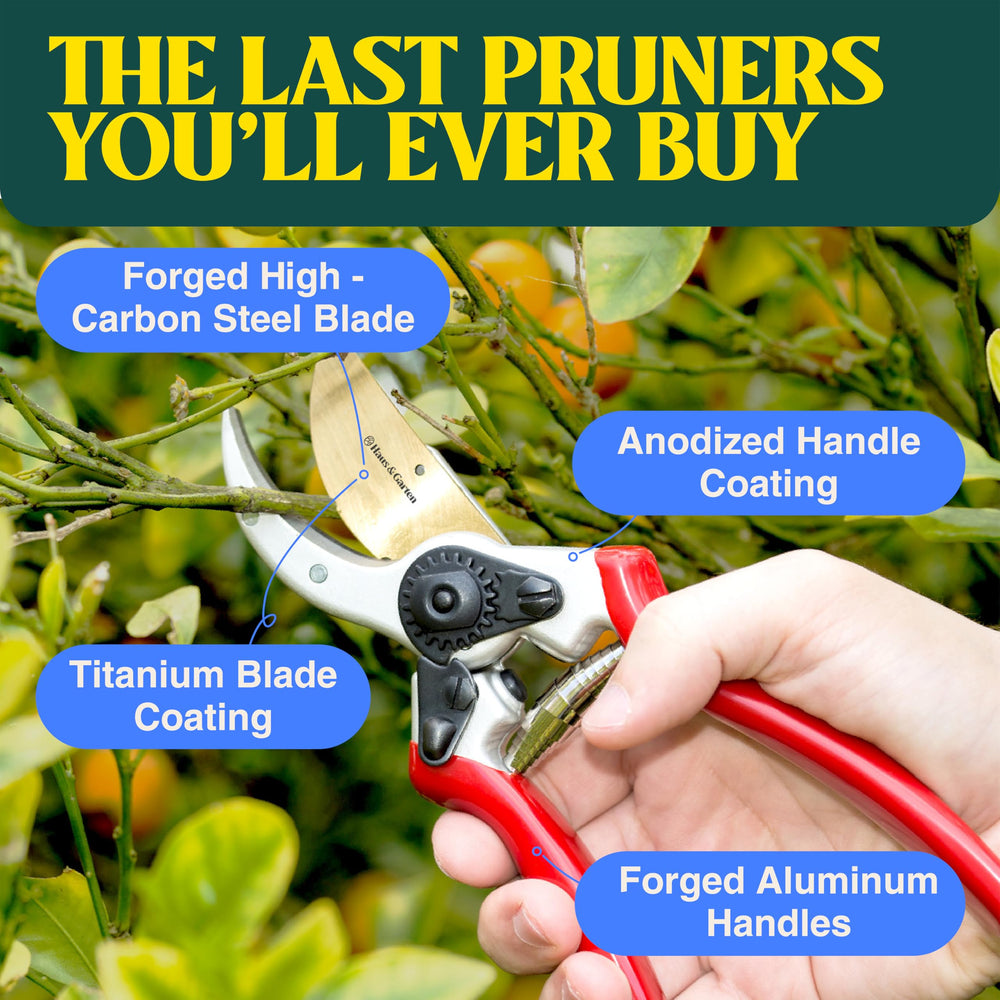 Ergonomic handle of Haus & Garten ClassicPRO pruning shears