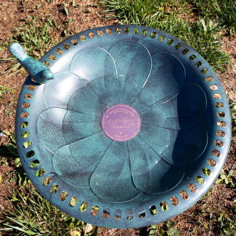 Erva Copper Bird Bath Purification Disk beside a measuring tape for size reference