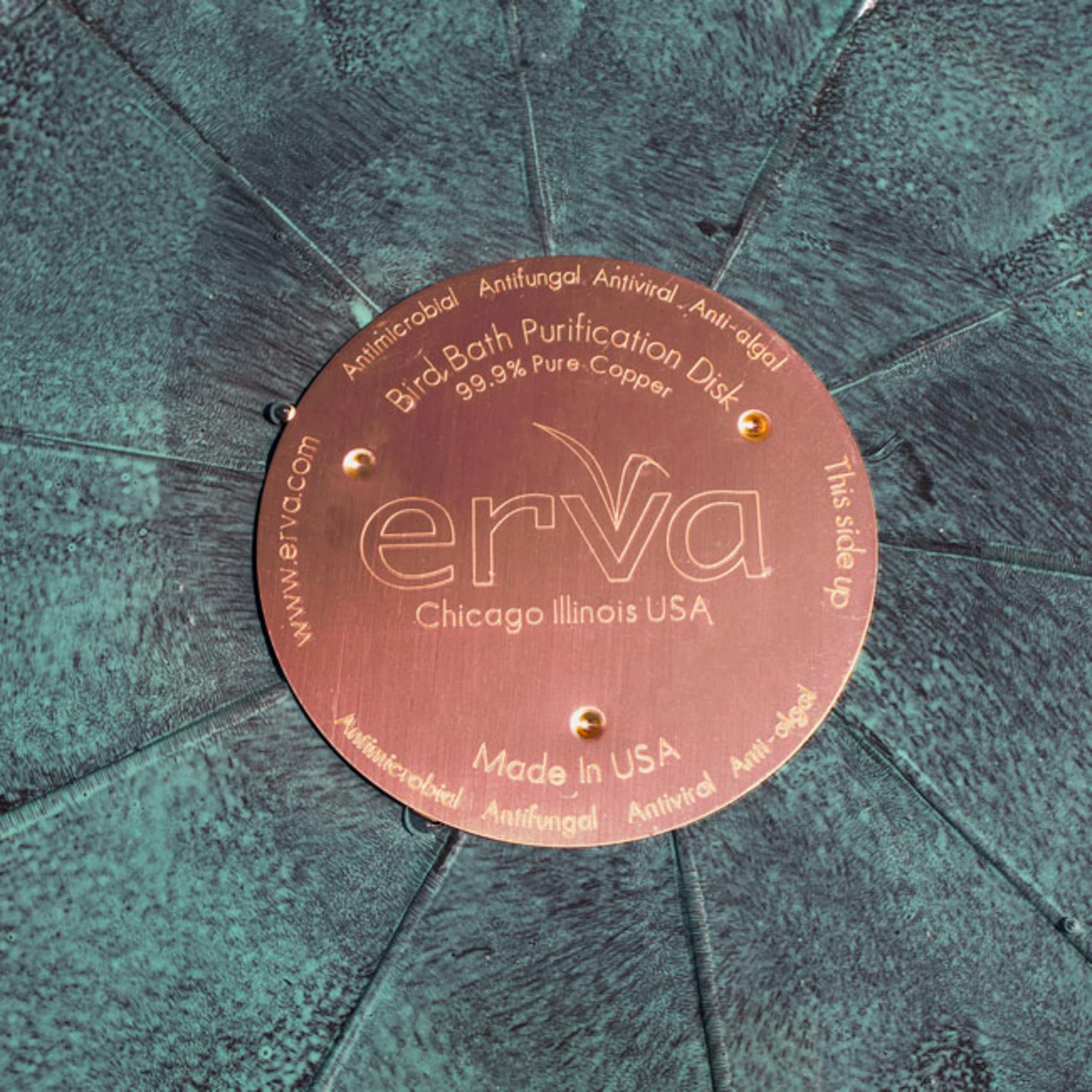 Erva Copper Bird Bath Purification Disk placed in a bird bath