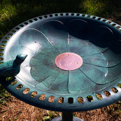 Erva Copper Bird Bath Purification Disk with water in a bird bath