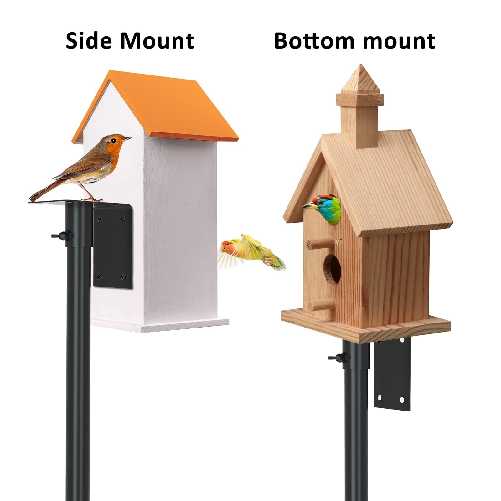 ERYTLLY Bird House Pole installed in a backyard garden