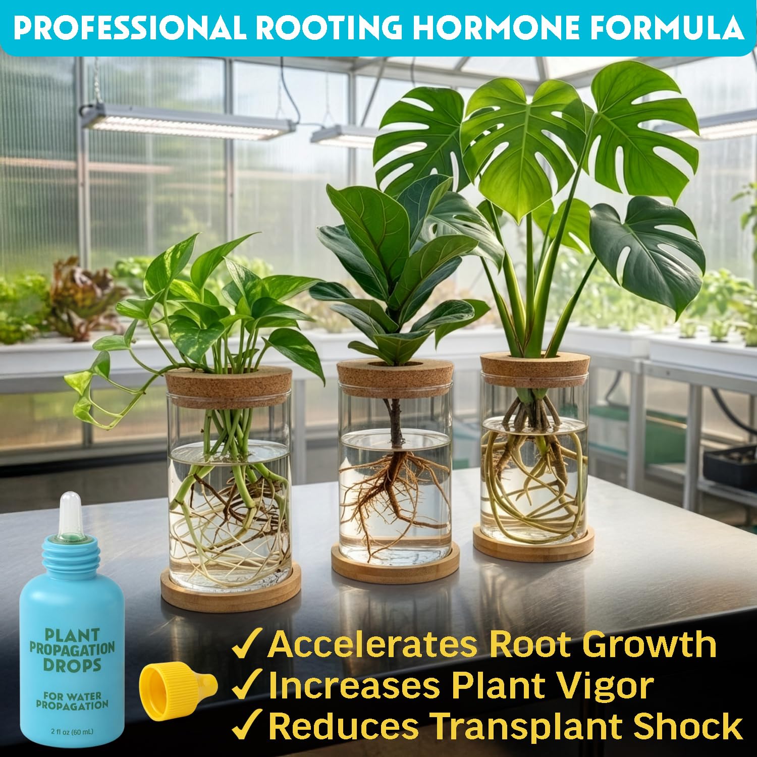 Escentile Plant Propagation Rooting Drops 60ml back view with ingredients