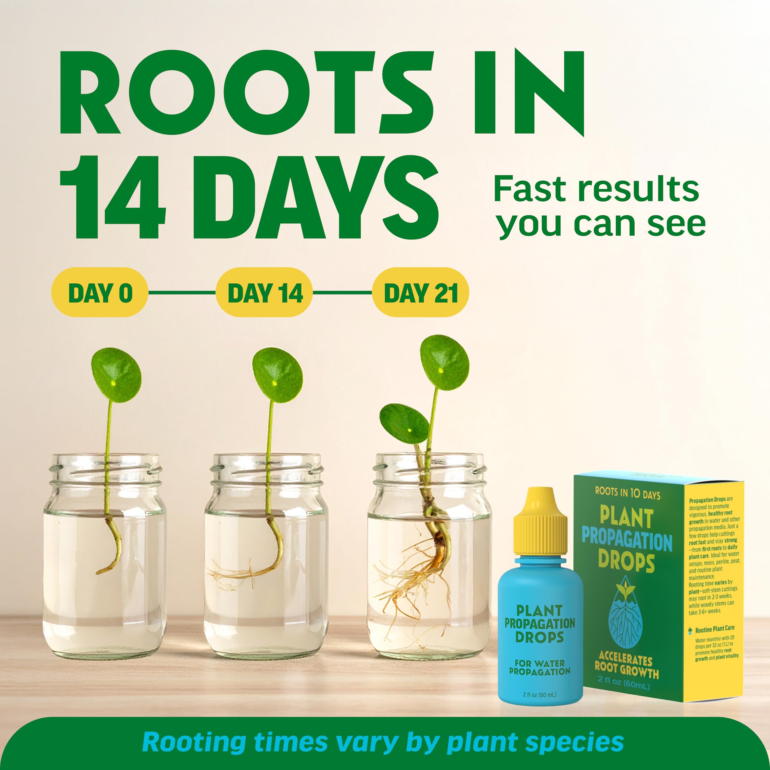 Escentile Plant Propagation Rooting Drops application guide