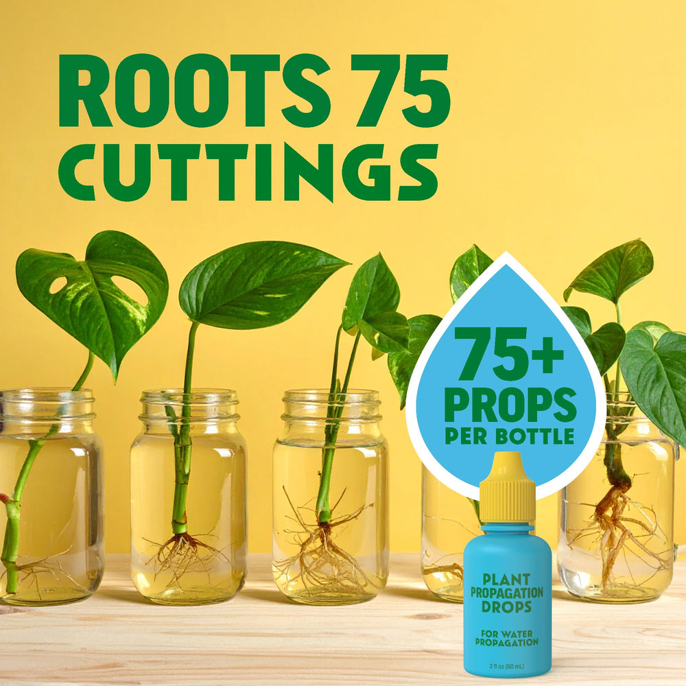 Escentile Plant Propagation Rooting Drops on a table with plants