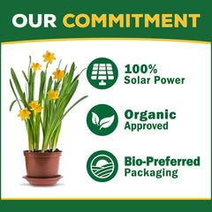 Espoma Organic Alfalfa Meal Fertilizer granules close-up