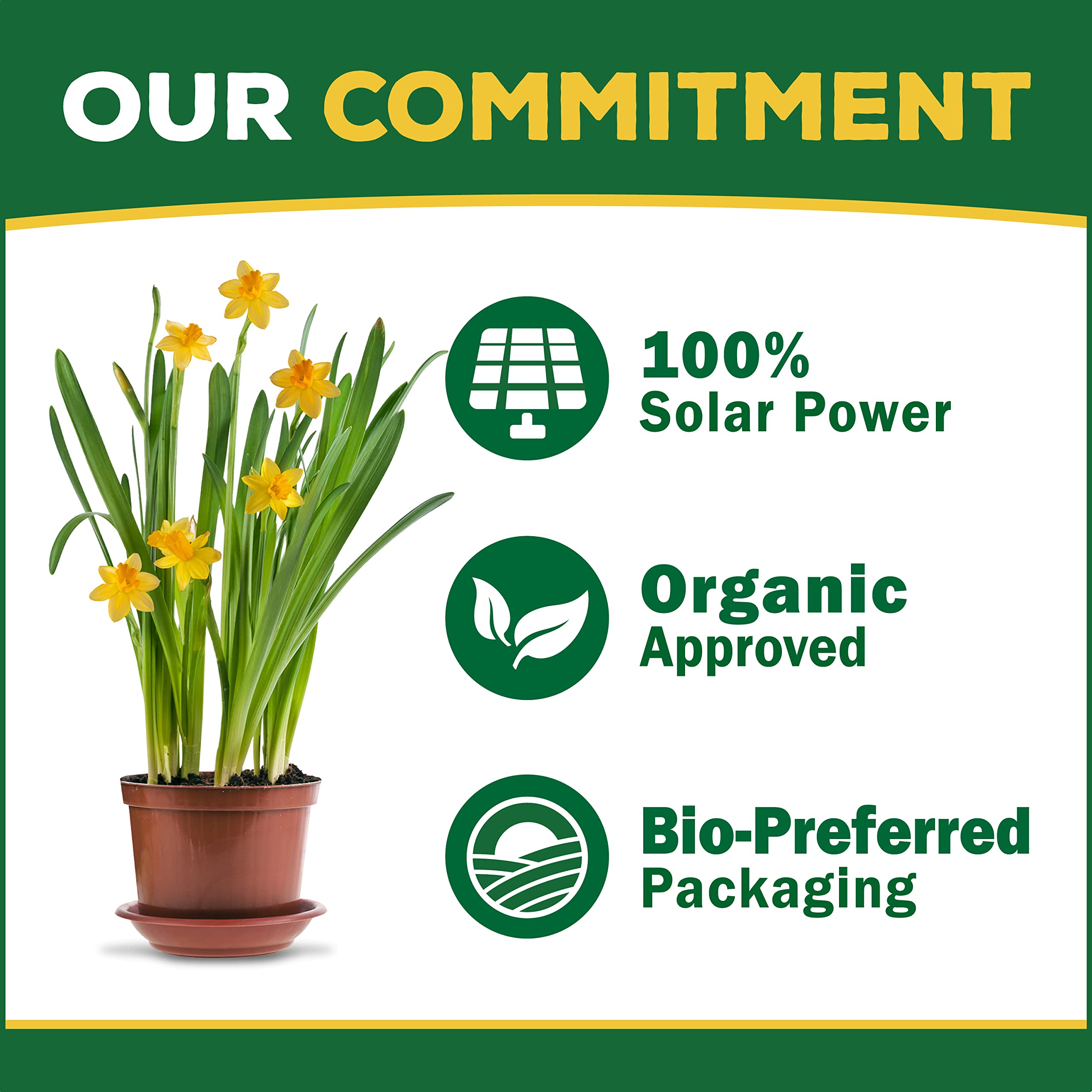 Espoma Organic Bone Meal Fertilizer powder close-up