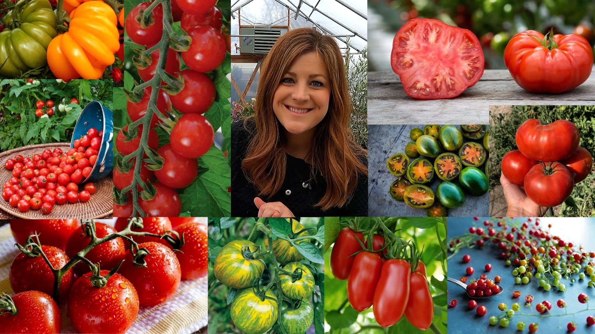 Espoma Organic Tomato! Plant Food application on plants