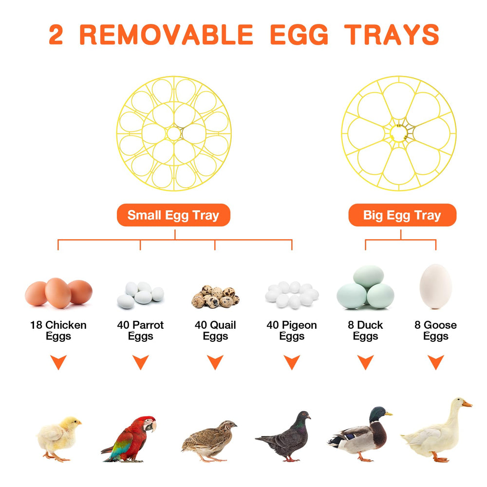 Etegow 18 Egg Incubator built-in egg candler feature