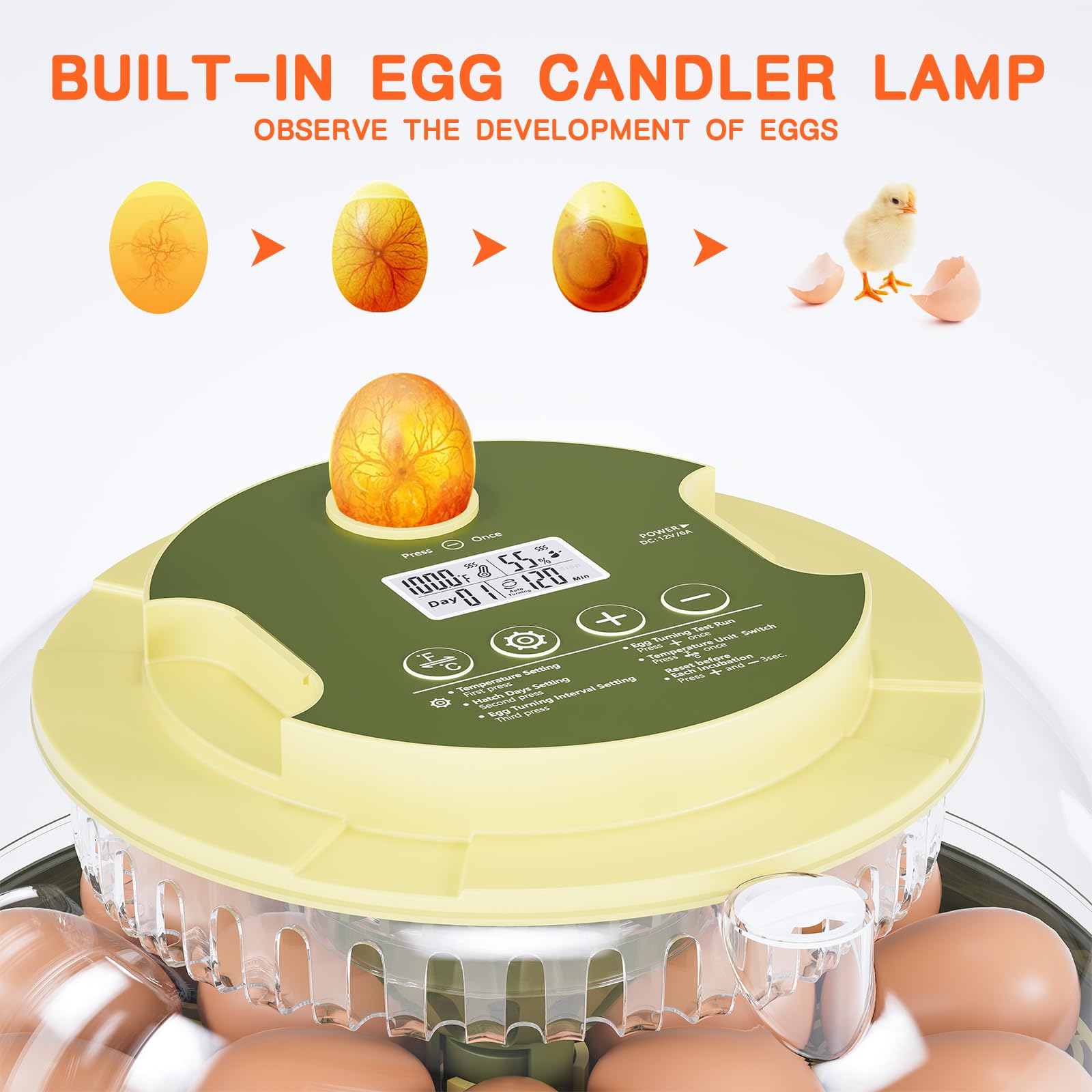 Etegow 18 Egg Incubator with water bottles for humidity control