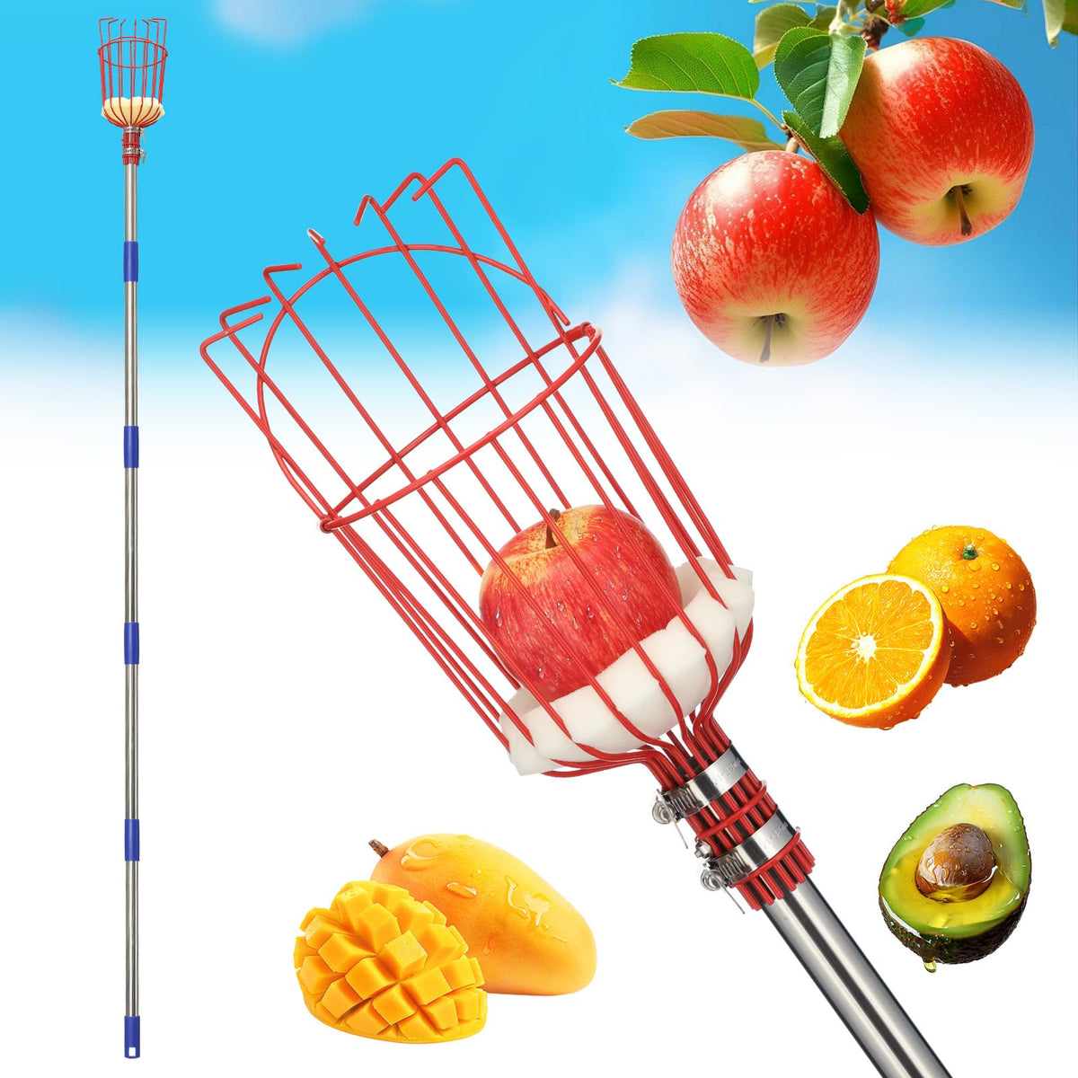 EUIJOIP 75-inch Fruit Picker Pole Tool front view with claw basket