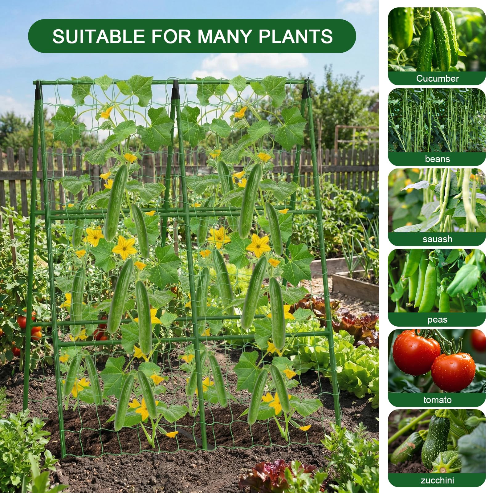 Eunice A-Frame Trellis parts including netting and stakes