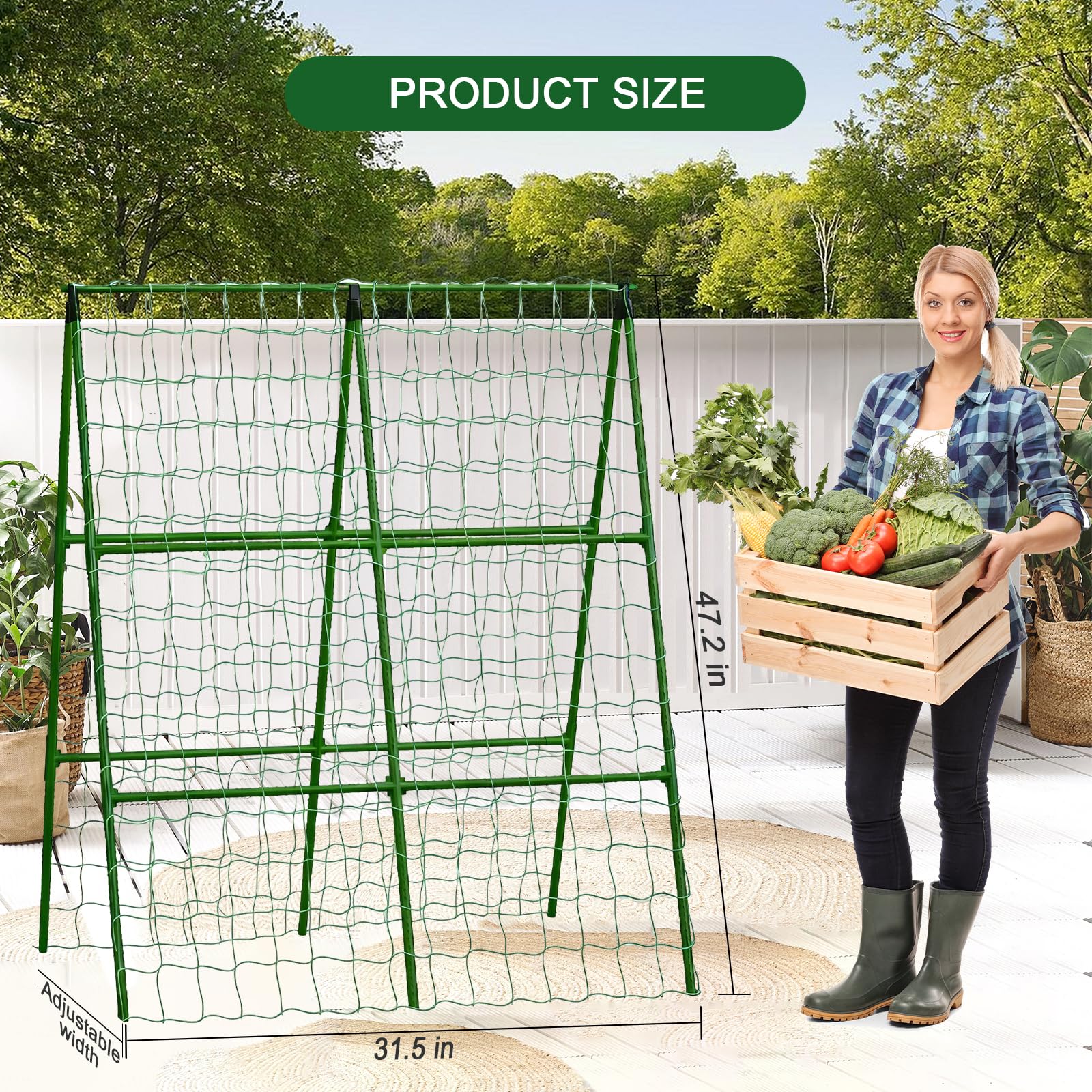 Eunice metal trellis with garden clips and leaf ties included