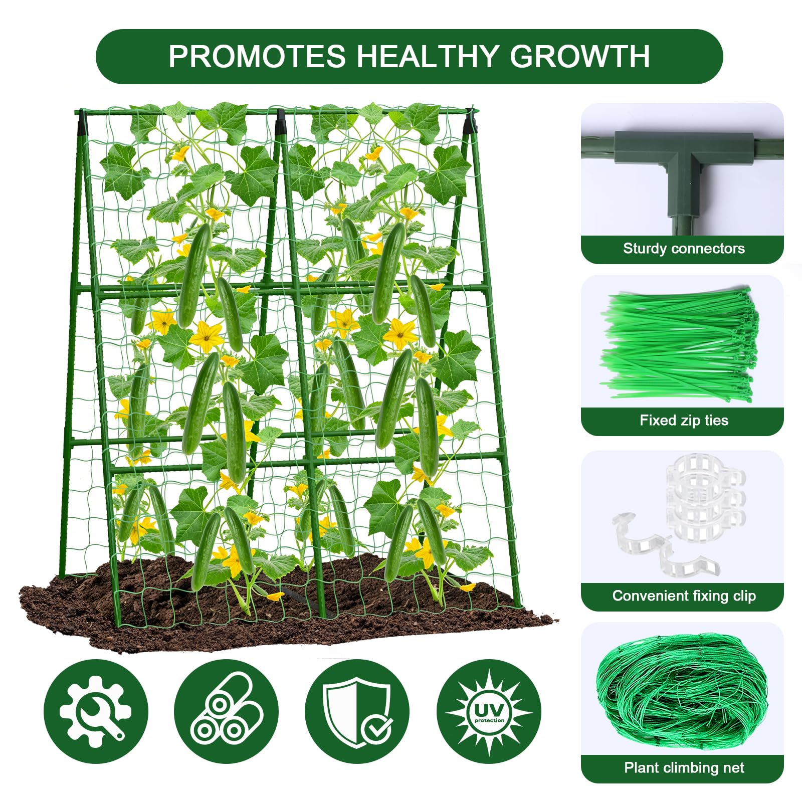Eunice trellis with cucumbers growing on it