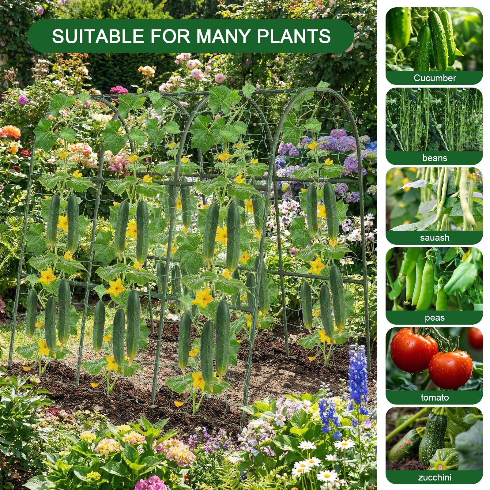 Eunice U-Shape Cucumber Trellis compact storage design