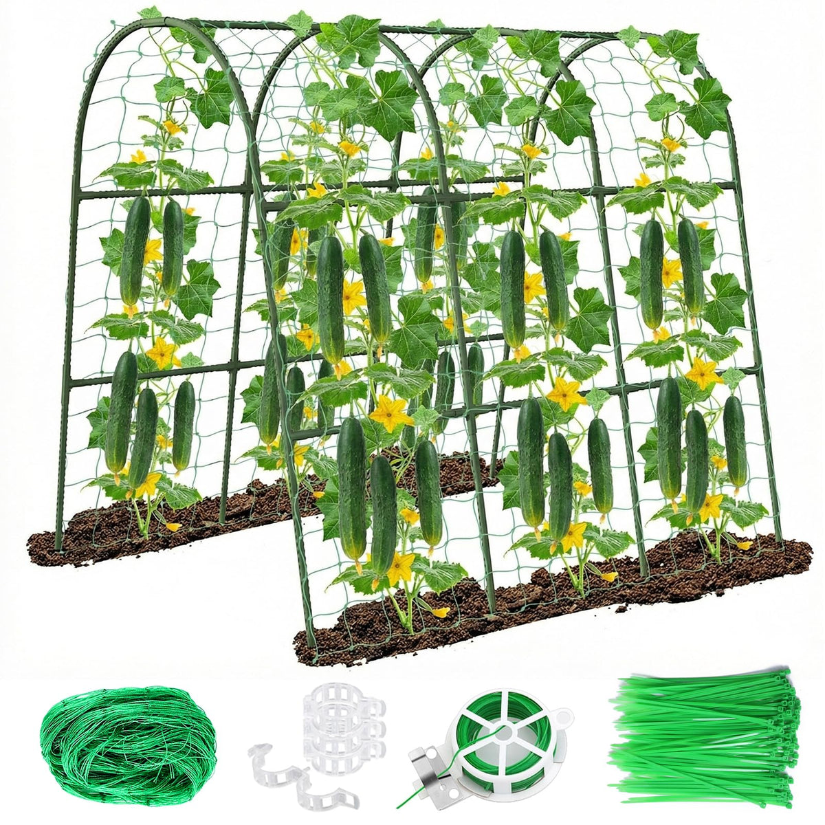Eunice U-Shape Cucumber Trellis front view with netting
