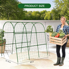 Eunice U-Shape Cucumber Trellis in a garden with climbing plants