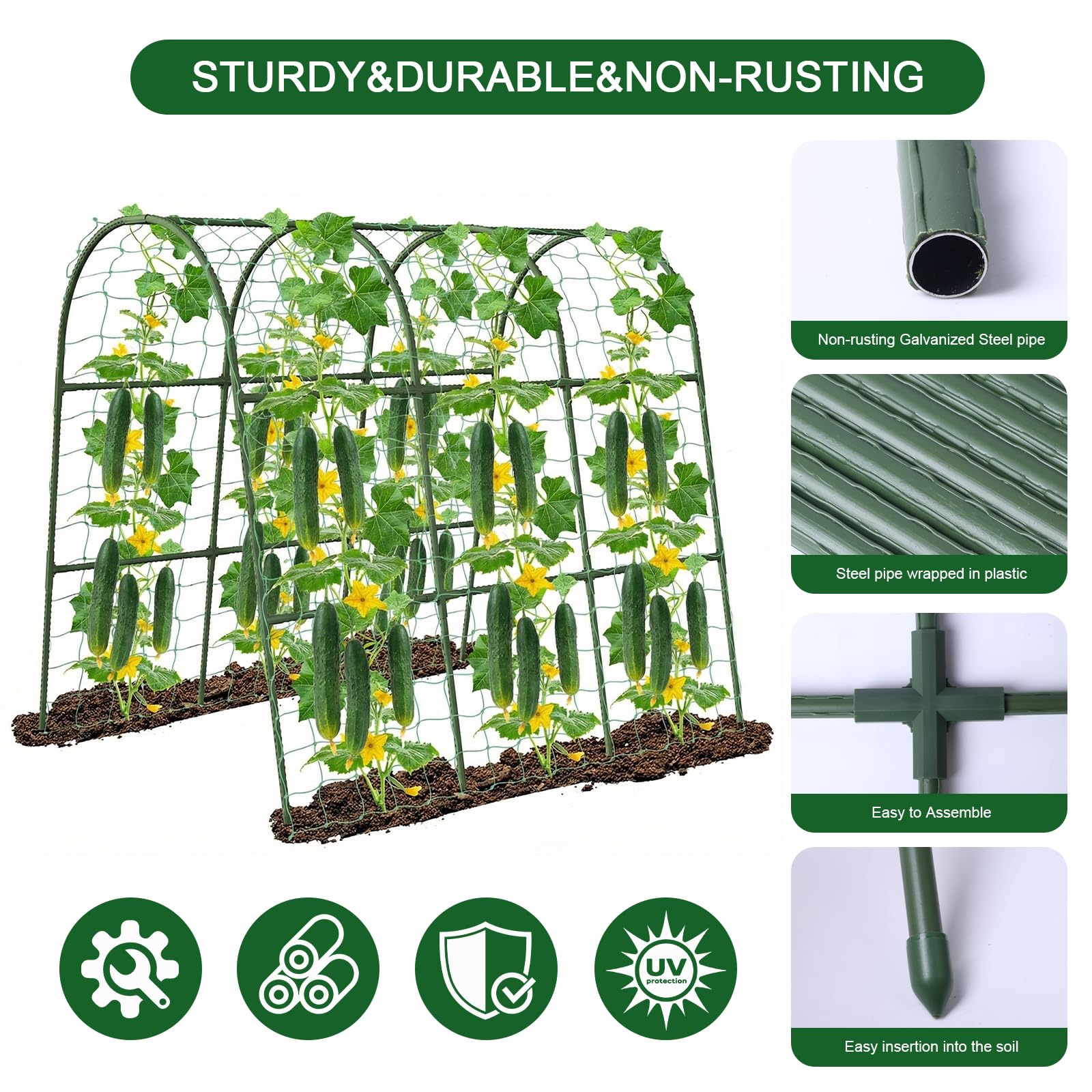 Eunice U-Shape Cucumber Trellis showing tool-free assembly features