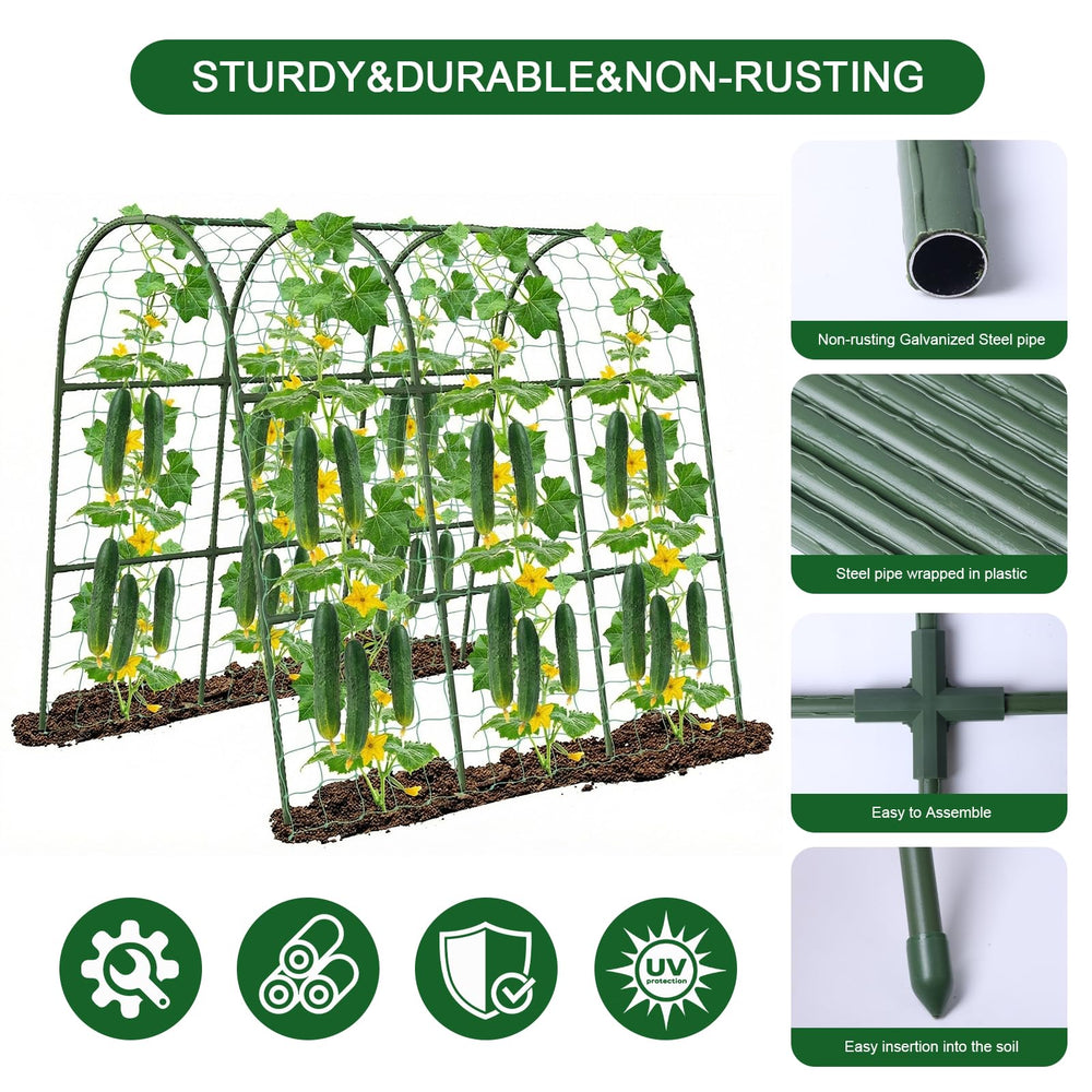 Eunice U-Shape Cucumber Trellis showing tool-free assembly features