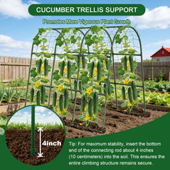 Eunice U-Shape Cucumber Trellis with climbing plants attached