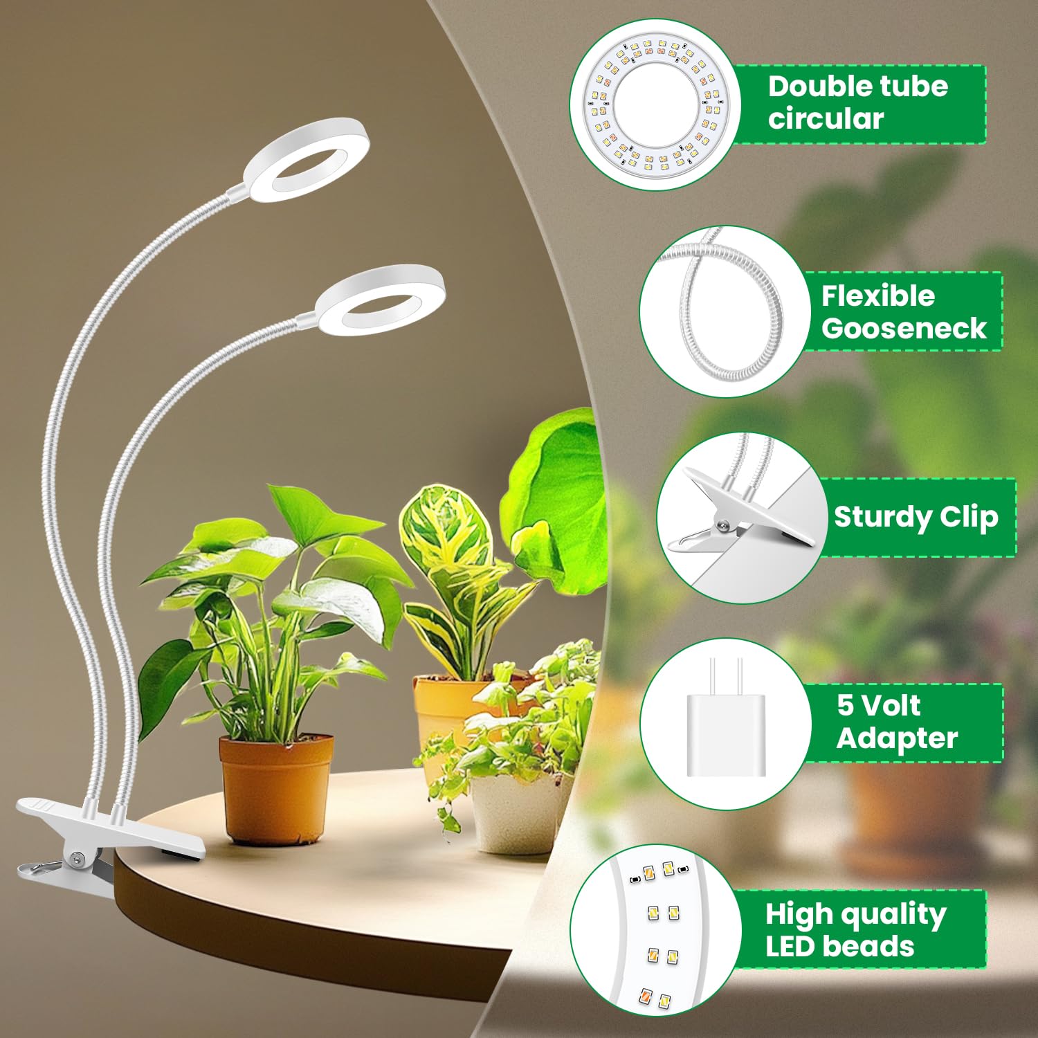 Eurbolan grow light in use with indoor plants