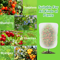 Evoio Bird Netting protecting blueberry bushes
