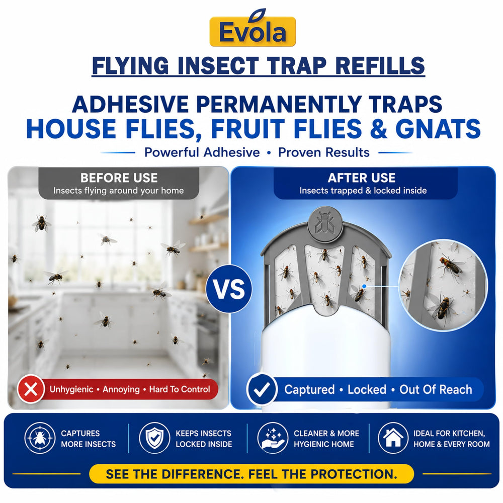 Evola Flying Insect Trap in kitchen setting