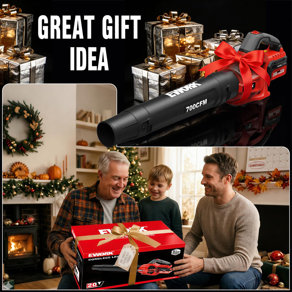 EWORK leaf blower packaging with accessories