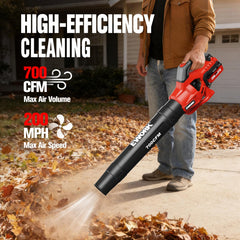 EWORK leaf blower with battery and fast charger
