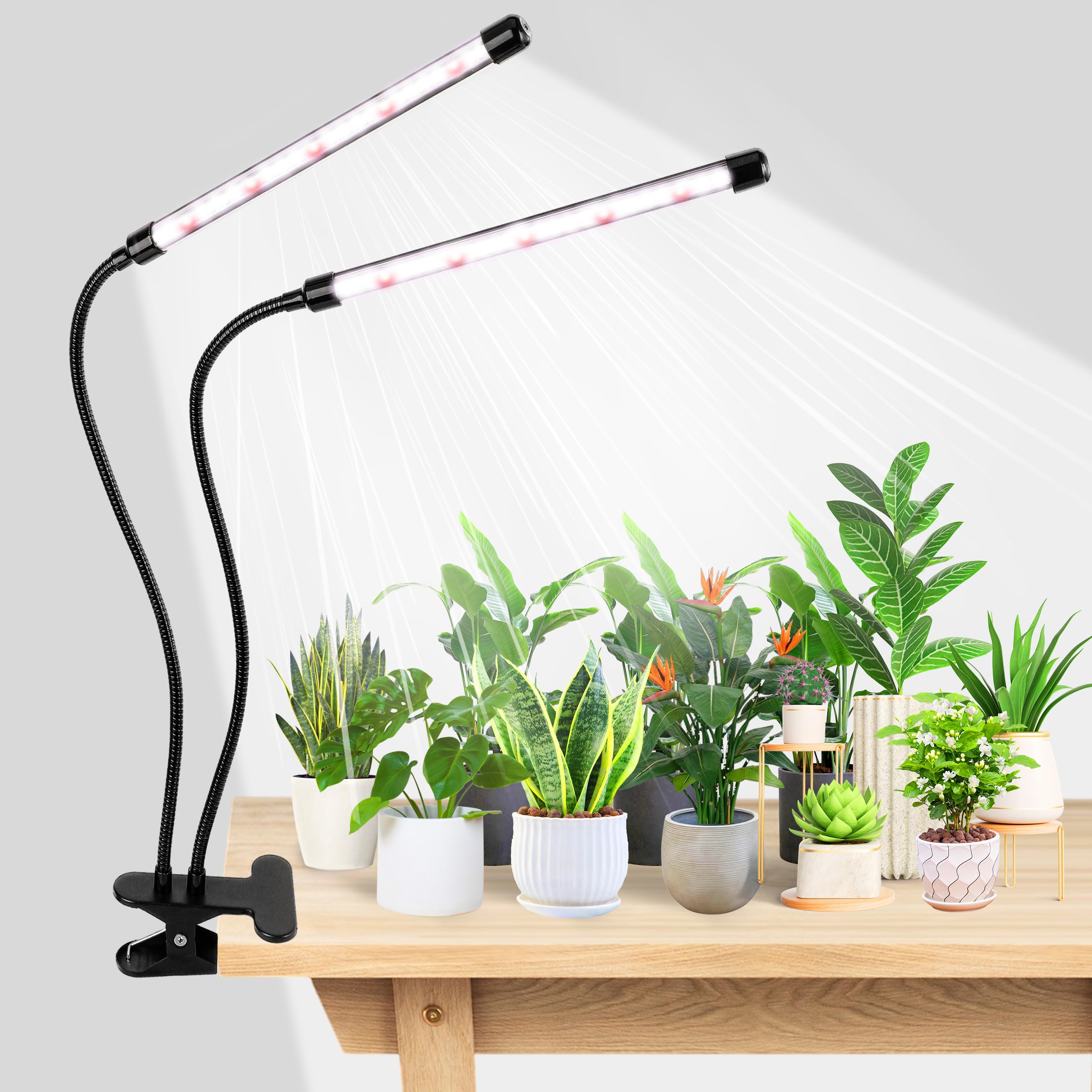 EWPJDK Grow Light 6500K full spectrum black model front view