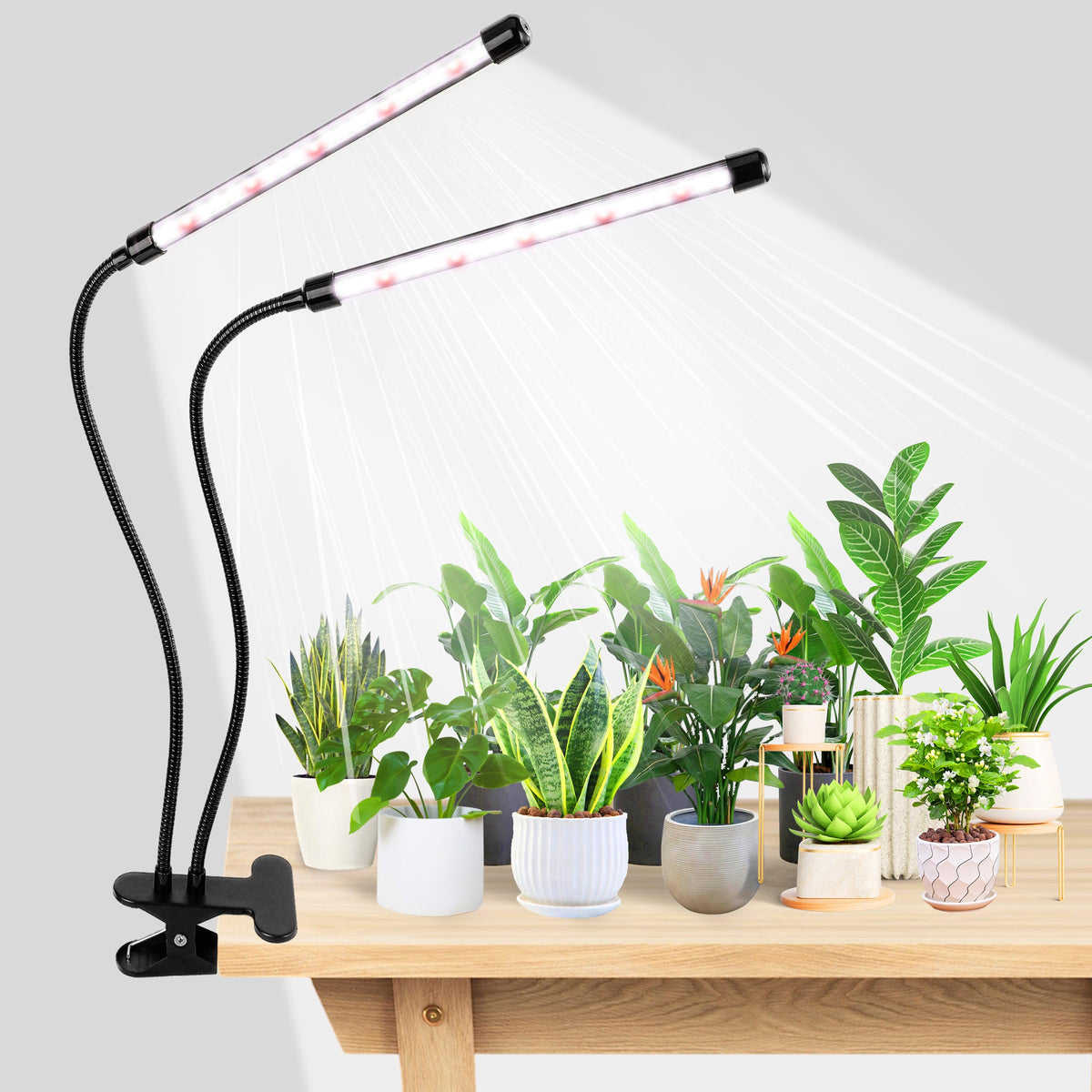 EWPJDK Grow Light 6500K full spectrum black model front view