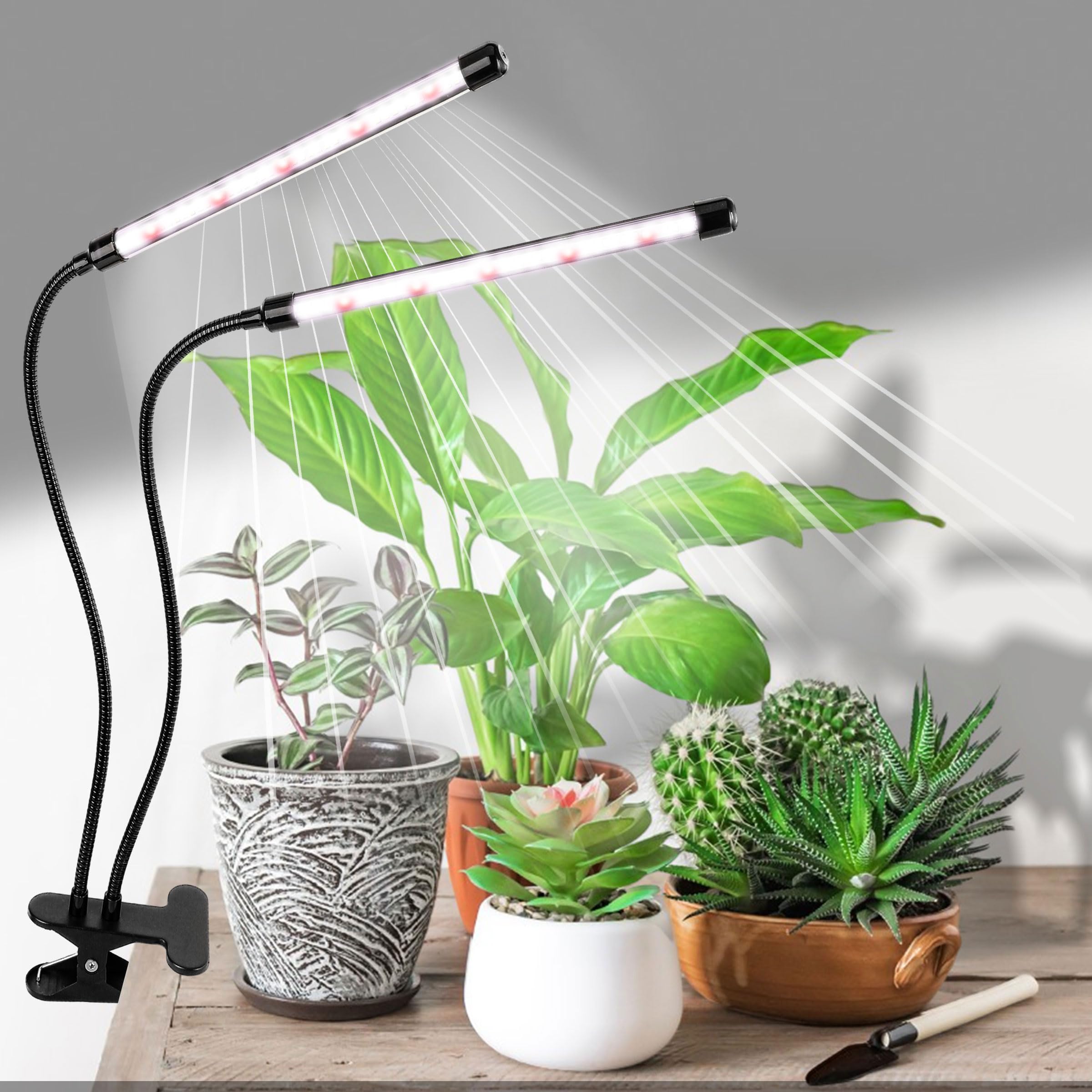 EWPJDK Grow Light 6500K with timer settings