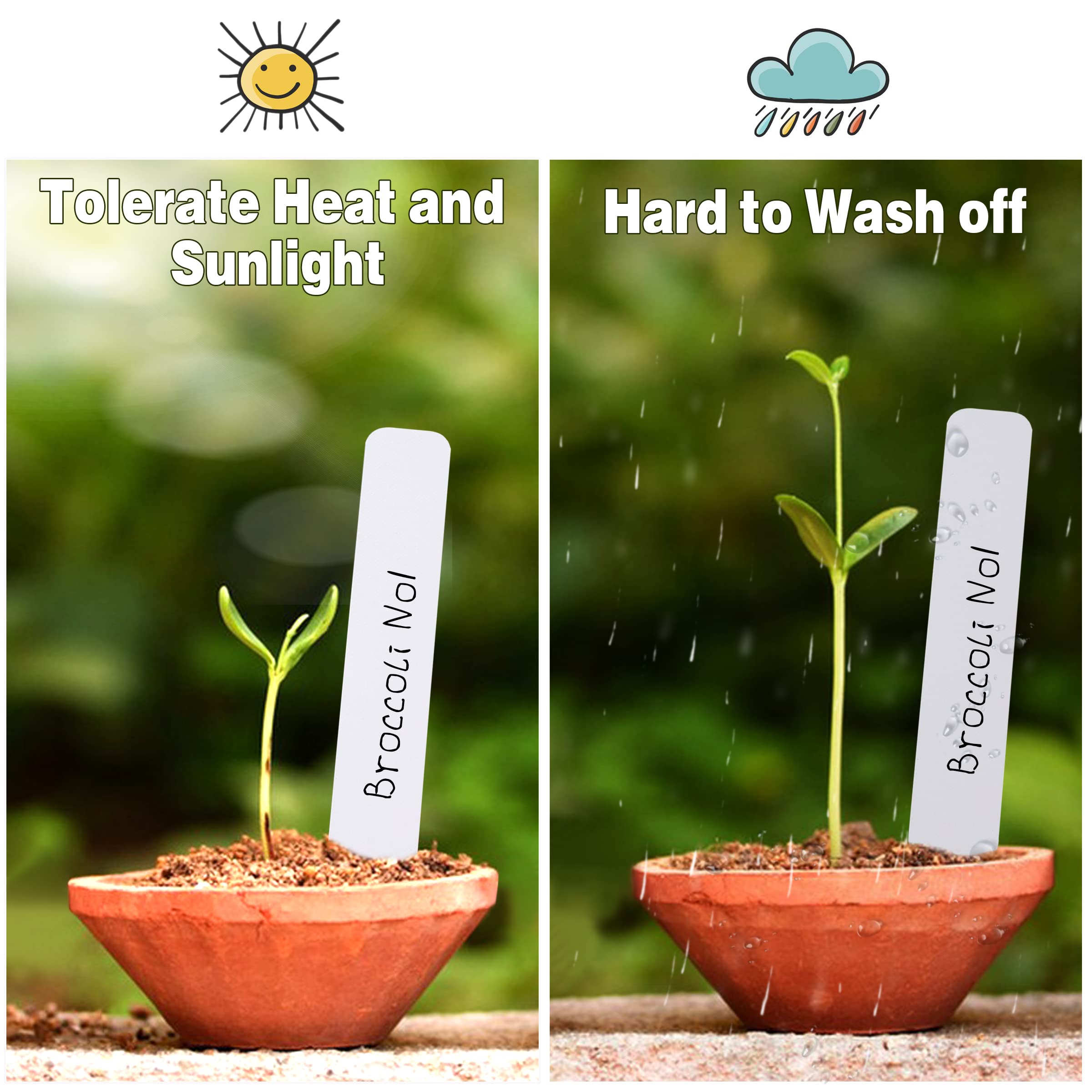 Examples of plant names written on TDHDIKE plant labels