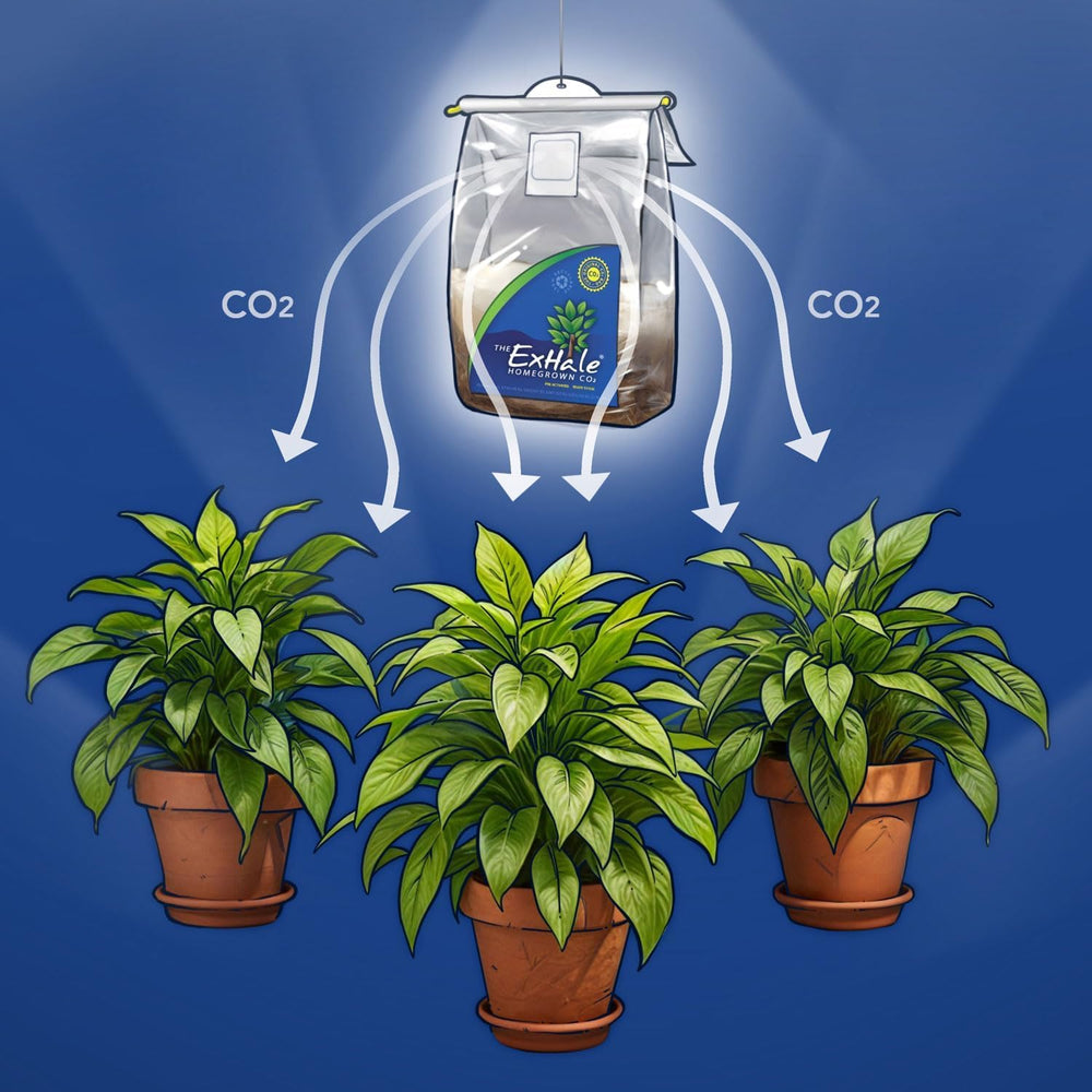 Exhale CO2 365 bag displayed on a table