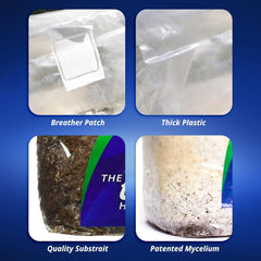 Exhale CO2 365 bag instructions and directions