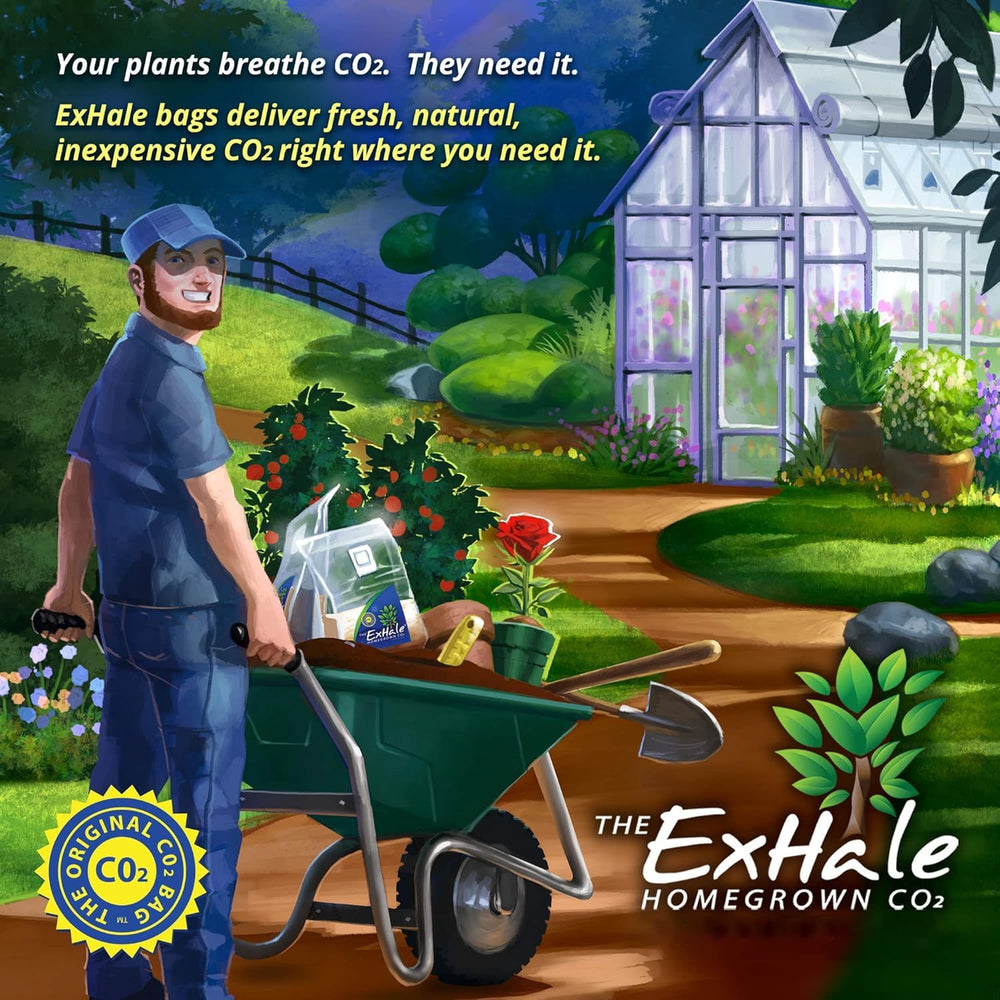 Exhale CO2 Grow Bag being hung above plants in a grow room