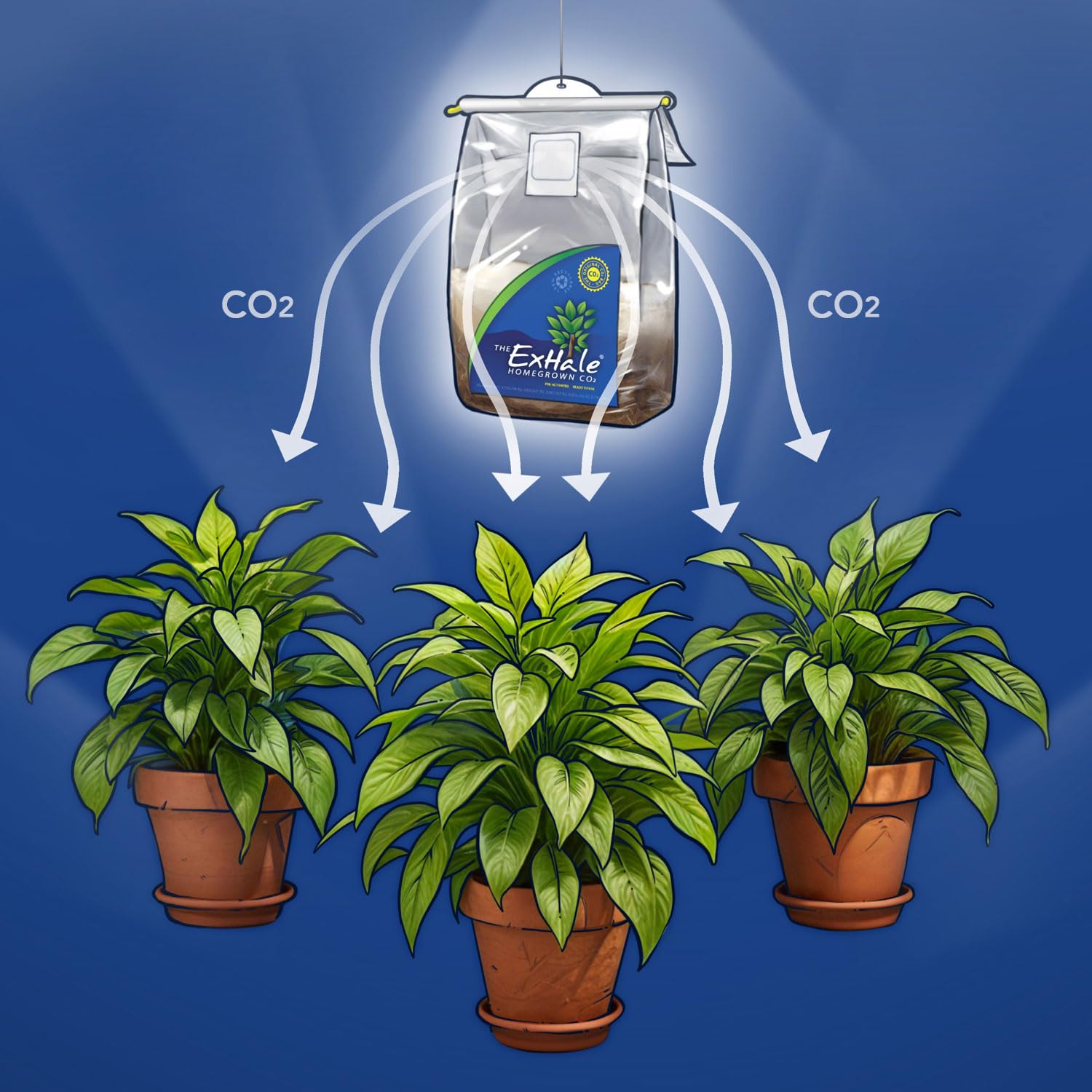 Exhale CO2 Grow Bag with clear instructions on setup