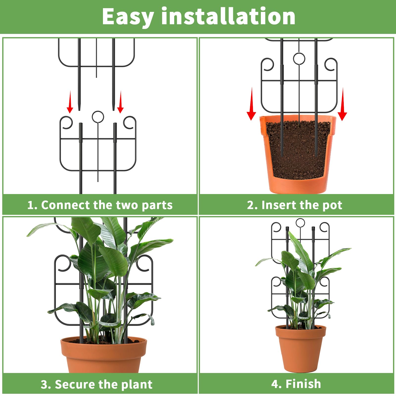 Expandable Blingluck trellis assembled with ivy plants