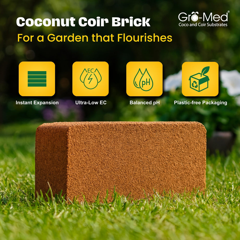 Expanded Gro-Med Coco Coir Brick showing fluffy texture