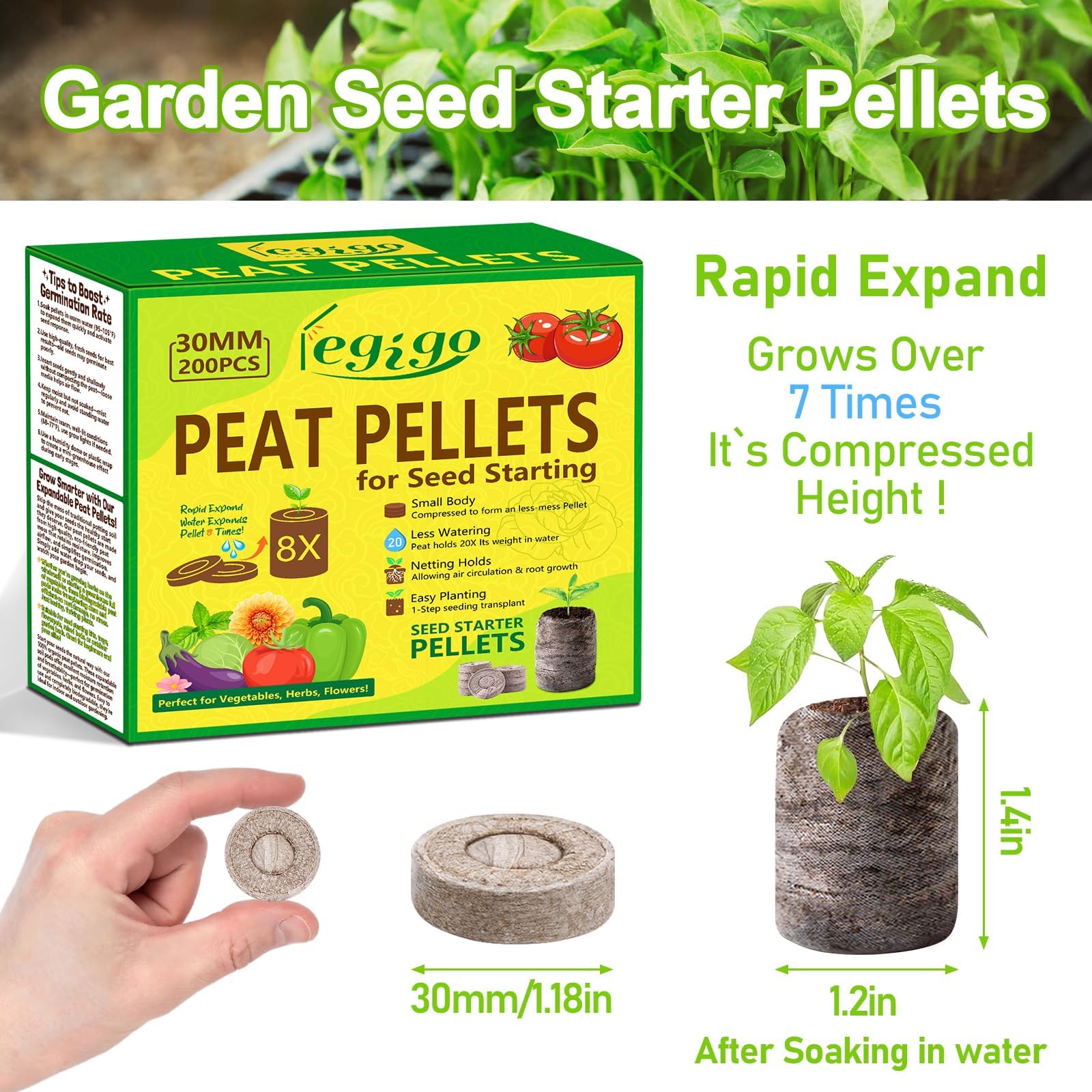 Expanded Legigo peat pellets in tray