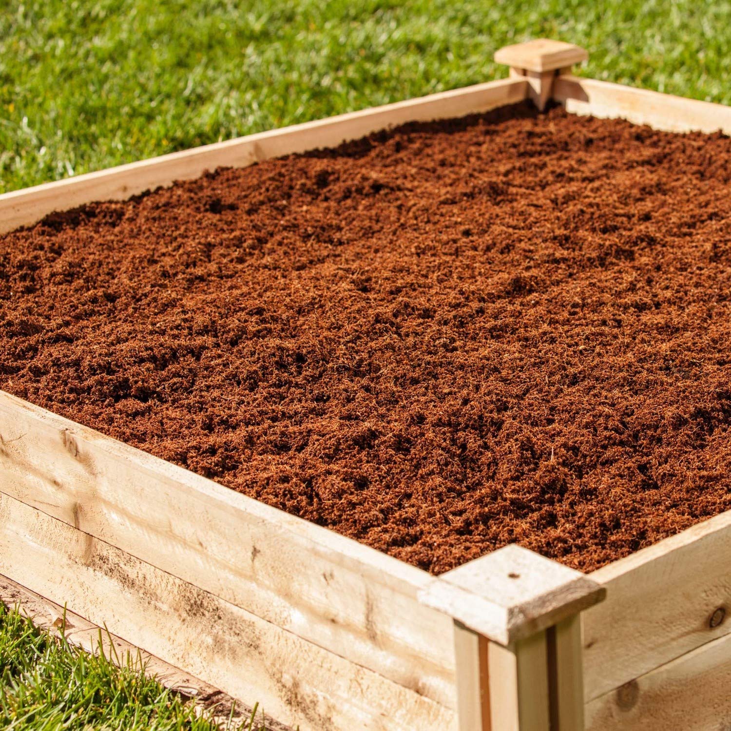 Expanded Miracle-Gro planting mix in a container