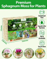 Expanded Riare Sphagnum Moss in a planting setting