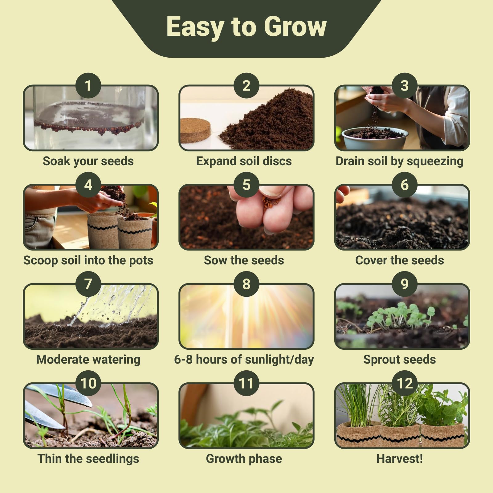 Expanded soil discs for indoor herb gardening