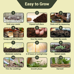 Expanded soil discs for indoor herb gardening