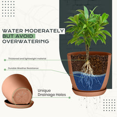 Extra Large Utopia Home plant pot with saucer